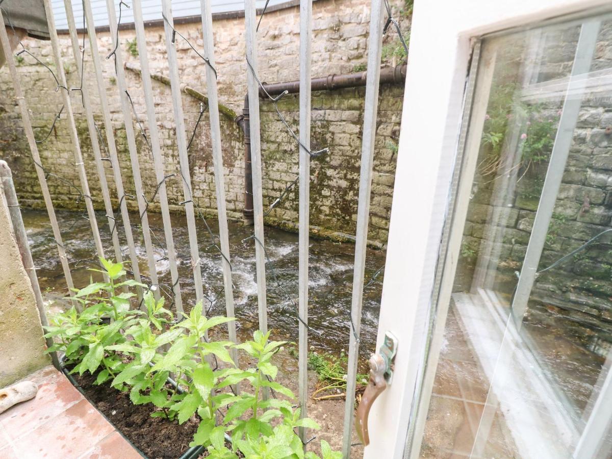 Riverdance Cottage Lyme Regis Extérieur photo